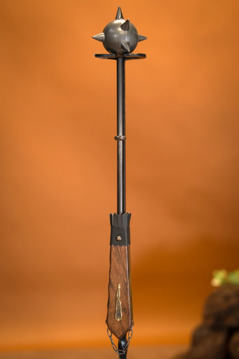 Korte morgenster - Image 6