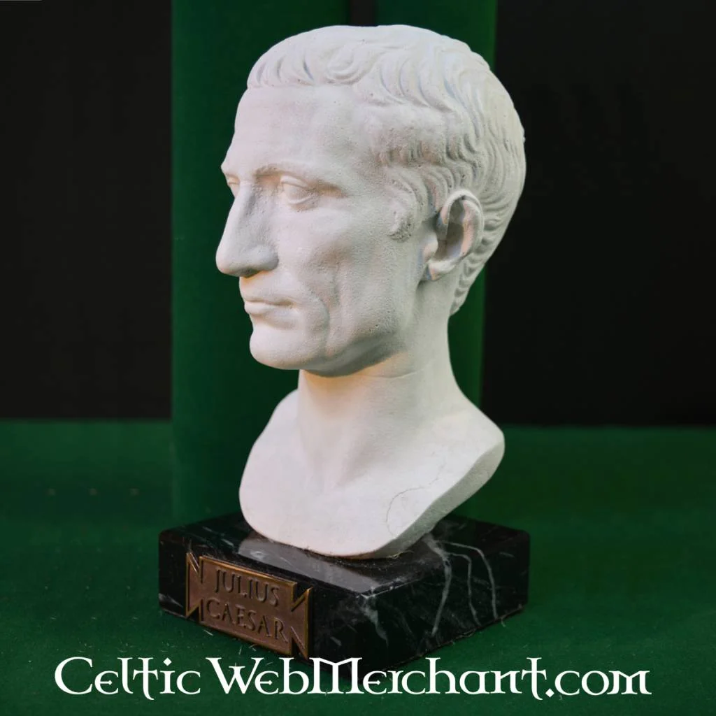 Buste Julius Caesar - Image 5