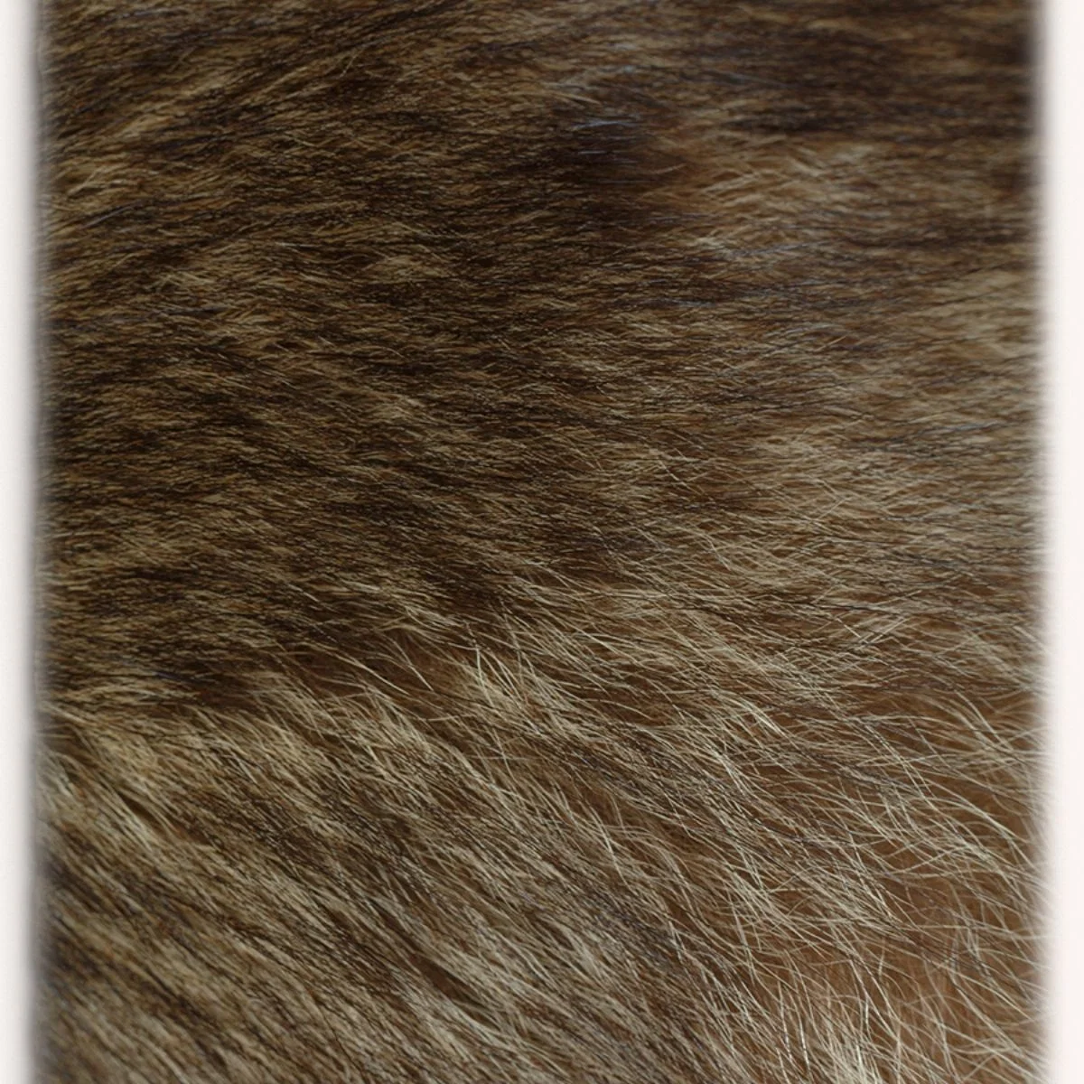 Bontkraag Leif, bruin - Image 4