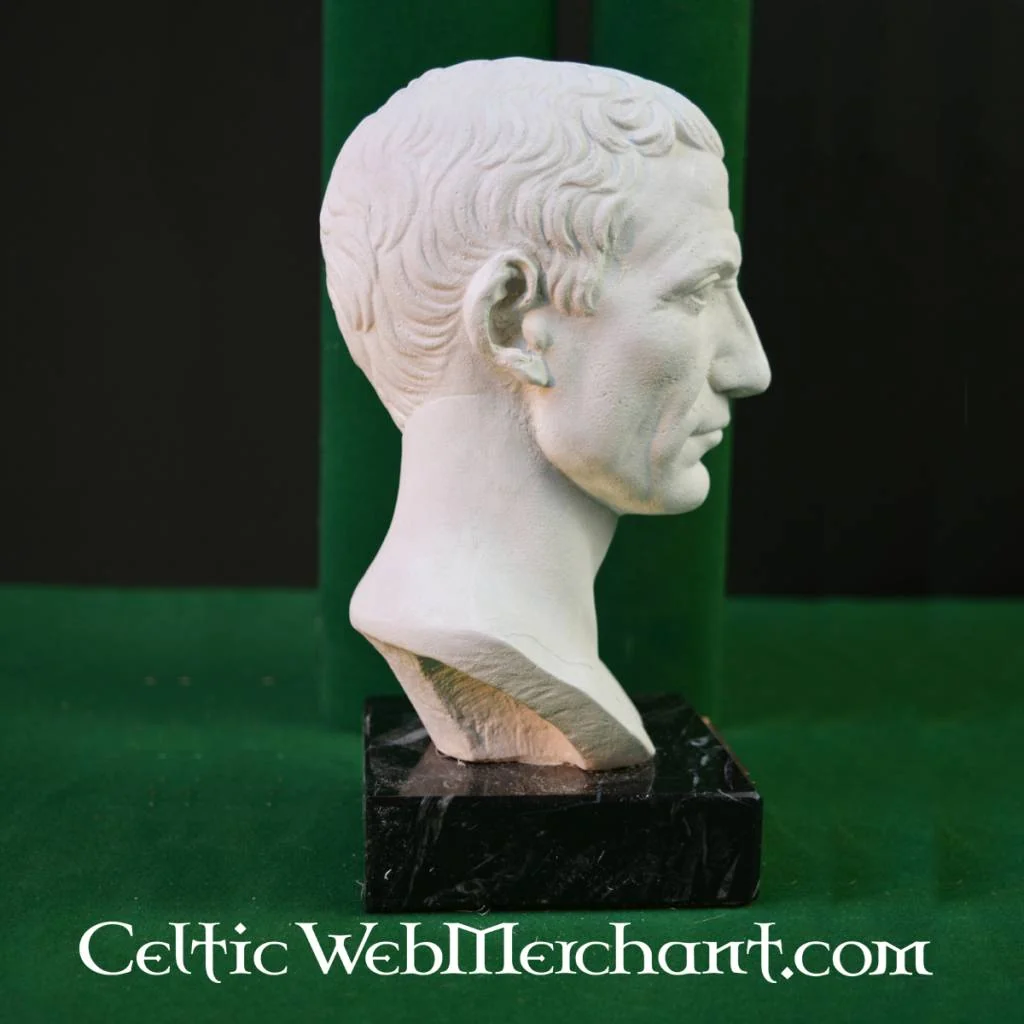Buste Julius Caesar - Image 4